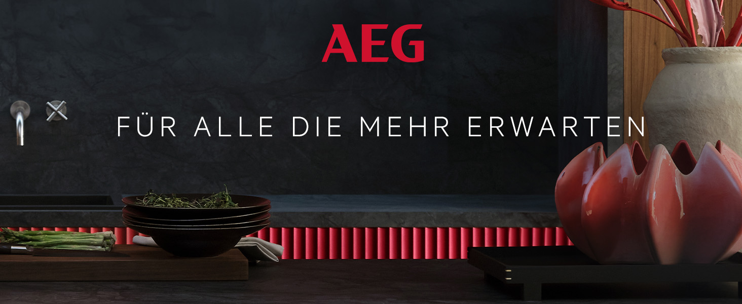 AEG Logo