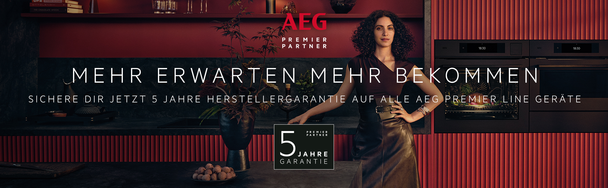 AEG premium Partner Logo 